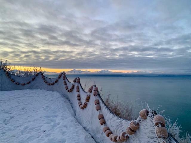 Baycrest Lodge Гомер Екстер'єр фото